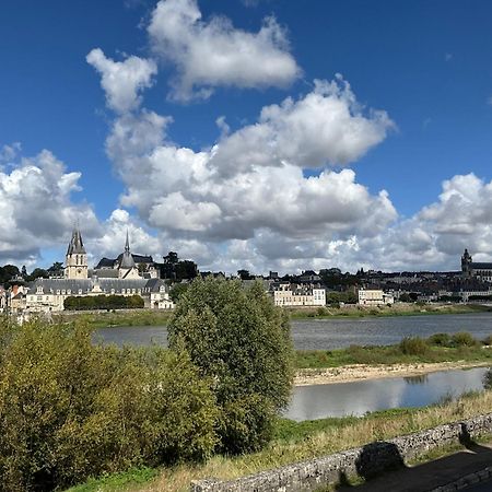 Gites Des Cygnes Vue Sur Loire Et Linge Inclus Blois Bagian luar foto