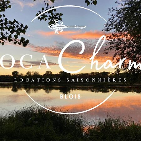 Gites Des Cygnes Vue Sur Loire Et Linge Inclus Blois Bagian luar foto