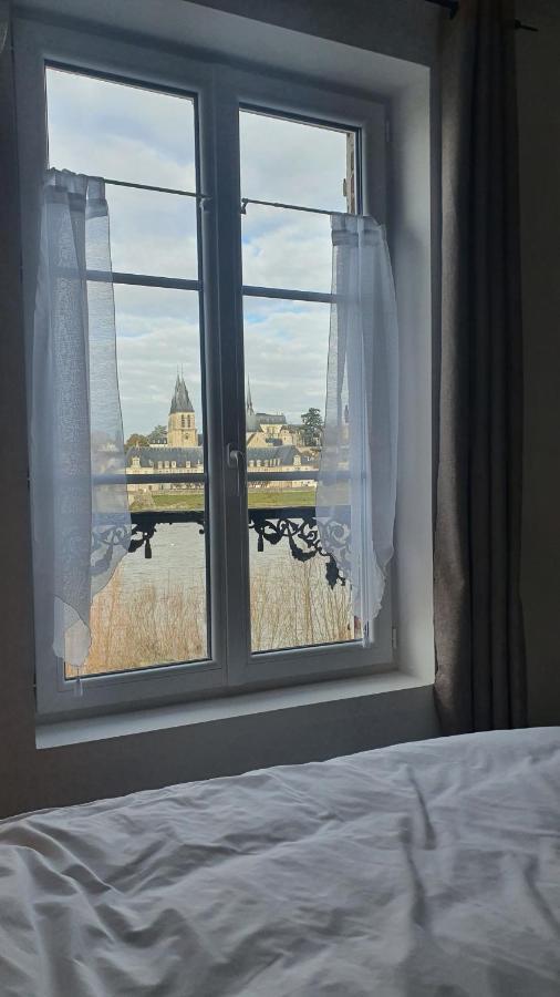 Gites Des Cygnes Vue Sur Loire Et Linge Inclus Blois Bagian luar foto